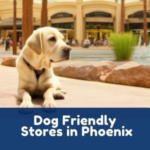 AZ Dog Friendly 